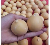 WellieSTR 30 Pieces 4-5cm Natural Egg Gourds Natrual Dried Calabash Gourd