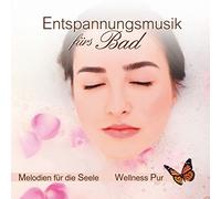 Wellness Pur - Entspannungsmusik Fuers Bad