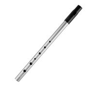 Wellrun 6-Hole D Tin Whistle,Authentic D Penny Whistle,Traditional Celtic Music Instrument,Perfect for Beginners,Adults,Smooth Grip,Comfortable to Play(Silver)