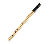 Wellrun 6-Hole D Tin Whistle,Authentic D Penny Whistle,Traditional Celtic Music Instrument,Perfect for Beginners,Adults,Smooth Grip,Comfortable to Play(Gold)