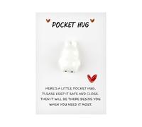 Wellrun Pocket Hug Seal with Message Card,Cute Mini Seal Keepsake Ornament,Small Emotional Support for Lovers,Family,Friends,Wedding,Birthday