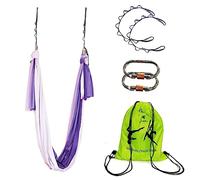 Wellsem Aerial Yoga Hammock Aerial Pilates Silk Yoga Swing Set Include Carabiners Daisy Chain, Pose Guide 5.5 Yards Set (Purple Air Color)