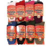 Welly Socks - Ladies Womens Heated 2.13 TOG Rated Work Socks - Thermal Socks Size 4-7 - Pastel Colours