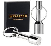 WELLZEER Keychain Magnet for Testing Brass,Keychain Pocket Magnets for Purse with Strong Magnetic Rare Earth Neodymium,Gold,Silver, Jewelry,Ferrous Metals Test Magnet (2PACK-D12mm)