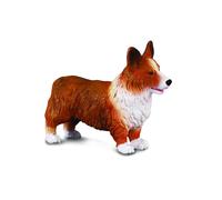 Welsh Corgi