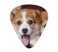 Welsh Corgi Dog,12 Pcs Guitar Pick,3 Different Thickness Plectrums for Acoustic Guitar Bass Ukulele (0.46mm 0.96mm 0.71mm)