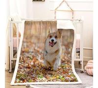Welsh Corgi Flannel Blanket Animals Throws for Sofas, Soft Cosy Plush Throw, Lightweight Fluffy Blanket for Bed, 3D Print Design Throw Adults Kids Bedroom Decor 60x80inch