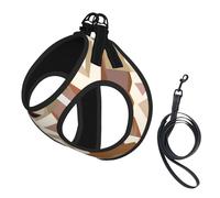 Welsh Corgi Head Pattern,Pet Harness,Adjustable Reflective Dog Harness,Pet Leash Vest,S