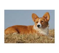 Welsh Corgi，Jigsaw Puzzle 1000 Piece Game Artwork Travel Souvenir（38x26cm）-AA46