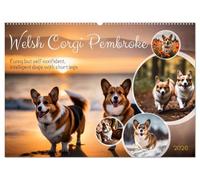 Welsh Corgi Pembroke (Wall Calendar 2026 DIN A2 landscape), CALVENDO 12 Month Wall Calendar: Funny but self-confident, intelligent dogs with short legs