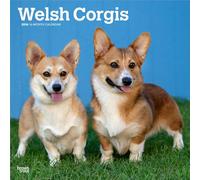 Welsh Corgis | 2026 12 x 24 Inch (Hanging) Monthly Square Wall Calendar | Plastic-Free | BrownTrout | Animals Dog Breeds