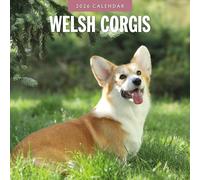 Welsh Corgis - 2026 Square Wall Calendar - by Red Robin Publishing