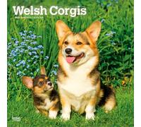 Welsh Corgis - Welsh Corgi 2027 - 16-Monatskalender: Original BrownTrout-Kalender [Mehrsprachig] [Kalender] (Welsh Corgis | 2027 12 x 24 Inch ... | BrownTrout | Animals Dog Breeds)