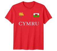 Welsh Cymru Flag Badge Daffodils Family Saint Davids Day T-Shirt St David Pride Childrens Kids Shirt Prince of Wales Tee Boys Girls Rugby Top #STDD Ladies L Red