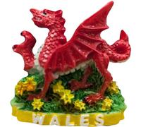 Welsh Dragon Daffodil Wales Resin Magnet RSN7 - Iconic Wales Souvenir Fridge Magnet Featuring Red Dragon and Daffodil Design, Durable Resin Build, or Collectible