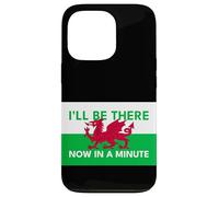 Welsh Dragon Flag - Be There Now In A Minute Case for iPhone 13 Pro