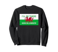 Welsh Dragon Flag - Be There Now In A Minute Sweatshirt