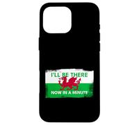Welsh Dragon Flag - Be There Now In A Minute (Vintage Style) Case for iPhone 16 Pro Max