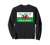 Welsh Dragon Flag - Do It Now In A Minute Sweatshirt
