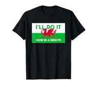 Welsh Dragon Flag - Do It Now in A Minute T-Shirt