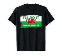 Welsh Dragon Flag - Do It Now in A Minute (Vintage Style) T-Shirt
