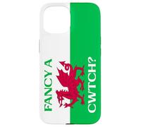 Welsh Dragon Flag - Fancy a Cwtch? Case for iPhone 15