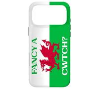 Welsh Dragon Flag - Fancy a Cwtch? Case for iPhone 17 Pro Max