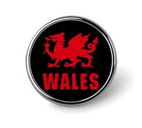 Welsh Dragon Flag Fashion Metal Badge Round Brooch Pin 1″