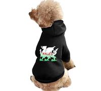 Welsh Dragon Flag of Wales Cute Dog And Cat Clothes Pet Hoodie Sweatshirt Pullover Sweater Coat