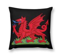 Welsh Dragon Flag Plush Pillowcase Throw Pillow Cover Standard Size Square Cushion Covers Funny 20 "x20
