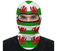 Welsh Dragon Flags Mens Balaclava Ski Face Mask Motorcycle UV Protector Scarf Neck Gaiter