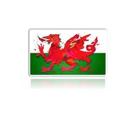 Welsh Dragon Fridge Magnet - Water Colour Edition (Paint Splatter (V1))