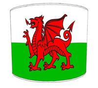 Welsh Dragon Lampshade for A Ceiling Light in 3 Sizes - Free Personalisation