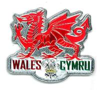 WELSH DRAGON METALLIC FRIDGE MAGNET - GREAT SOUVENIR GIFT FROM WALES CYMRU -7607