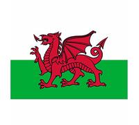 Welsh Dragon National Flag - Multi-Colour