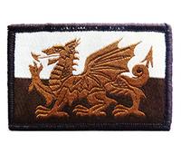 Welsh Dragon Patch Wales Military forces Separate Hook and Loop Fasten Backed UBAC Desert ops tan Flag Badge