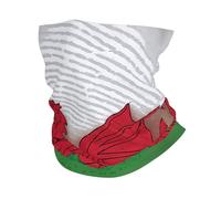Welsh Dragon Print Neck Warmer Gaiter Women Men, Windproof Face Cover Face Mask Scarf For Cold Weather Sport
