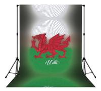 Welsh Dragon Print Photography Backdrop 5x7ft Photo Backdrop Curtain Washable Photography Background For Studio