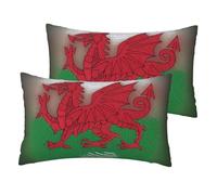 Welsh Dragon Print Throw Pillow Covers, Set Of 2, Standard 30x50cm,Throw Cushion Cover,For Living Room Office