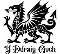 'Welsh Dragon' Rubber Stamp - Unmounted Design for Crafting & Scrapbooking, A8 (RS00056856)