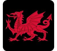 Welsh Dragon Wales Aluminium Square Fridge Magnet Fantastic Souvenir