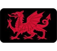 Welsh Dragon Wales Rectangle Aluminium Fridge Magnet Fantastic Souvenir