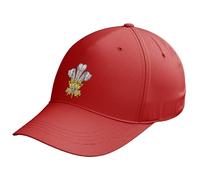 Welsh Feathers Embroidery Cap Unisex Prince of Wales Hat Cymru Rugby Football Supporters