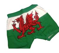 Welsh Flag Boxer Shorts (trunk fit) Large