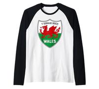 Welsh Flag Dragon Y Ddraig Goch Vintage Wales Cymru Shield Raglan Baseball Tee