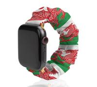 Welsh Flag Elastic Smartwatch Replacement Bands