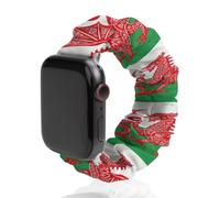 Welsh Flag Elastic Smartwatch Replacement Bands