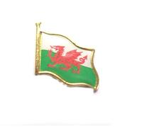 Welsh Flag Enamel Pin Badge with Gift Box, Wales National Dragon Emblem