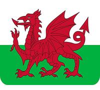 Welsh Flag - Glass Worktop Saver/Protector - by Pearl Glass (50 x 40cm Large)