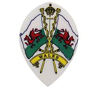 WELSH FLAG PEAR SHAPED FLIGHTS (5x Sets)